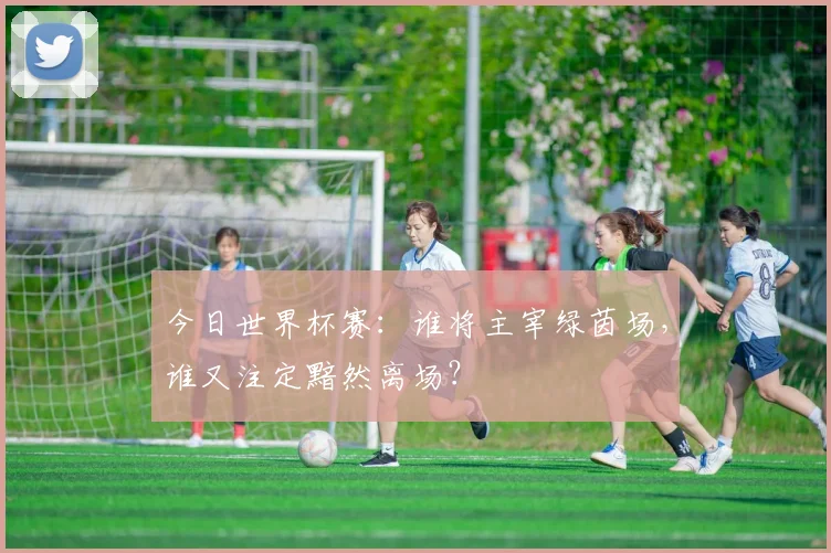 今日世界杯赛:谁将主宰绿茵场,谁又注定黯然离场?